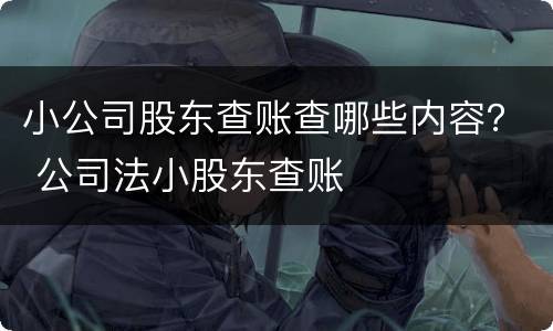 小公司股东查账查哪些内容？ 公司法小股东查账
