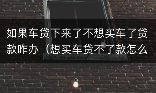 如果车贷下来了不想买车了贷款咋办（想买车贷不了款怎么办）