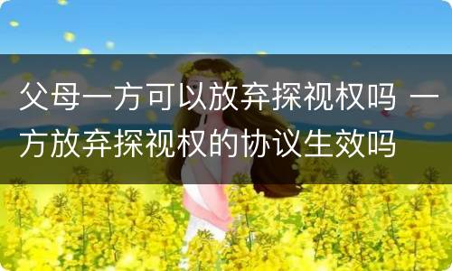 父母一方可以放弃探视权吗 一方放弃探视权的协议生效吗
