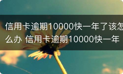 信用卡逾期10000快一年了该怎么办 信用卡逾期10000快一年了该怎么办理