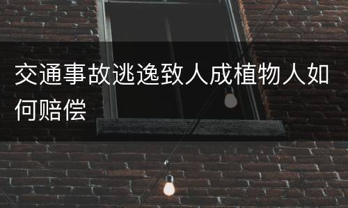 交通事故逃逸致人成植物人如何赔偿