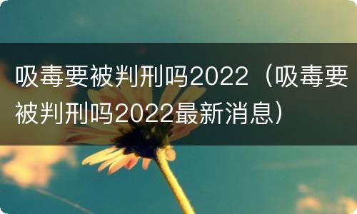 吸毒要被判刑吗2022（吸毒要被判刑吗2022最新消息）