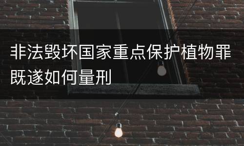 非法毁坏国家重点保护植物罪既遂如何量刑