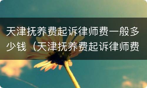 天津抚养费起诉律师费一般多少钱（天津抚养费起诉律师费一般多少钱一次）