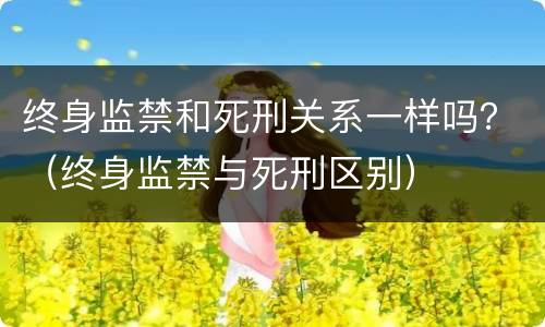 终身监禁和死刑关系一样吗？（终身监禁与死刑区别）