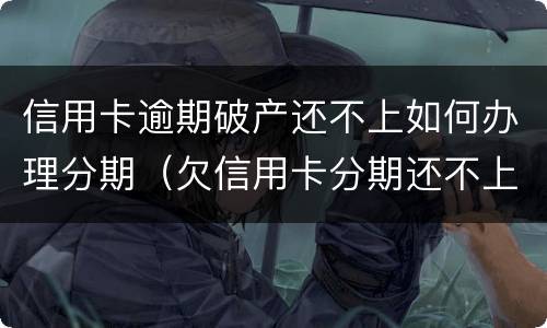 信用卡逾期破产还不上如何办理分期（欠信用卡分期还不上怎么办）