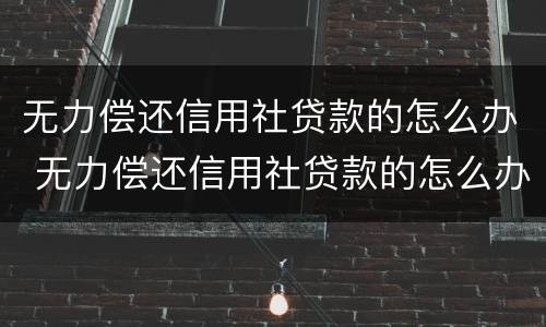 无力偿还信用社贷款的怎么办 无力偿还信用社贷款的怎么办政府能帮到我吗?
