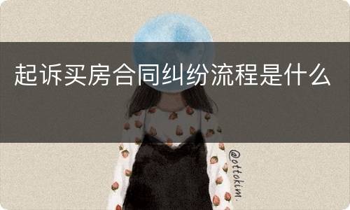起诉买房合同纠纷流程是什么