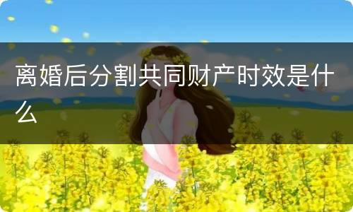 离婚后分割共同财产时效是什么