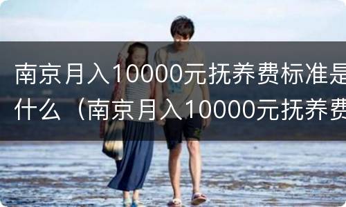 南京月入10000元抚养费标准是什么（南京月入10000元抚养费标准是什么呢）