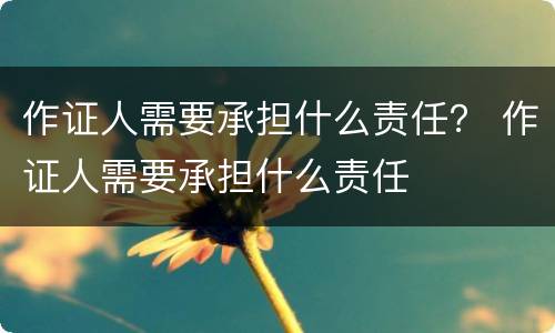作证人需要承担什么责任？ 作证人需要承担什么责任