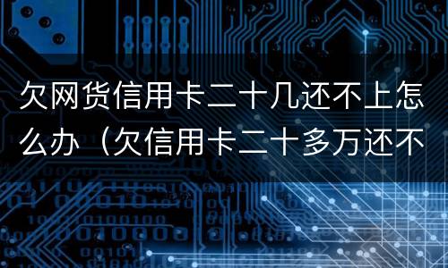 欠网货信用卡二十几还不上怎么办（欠信用卡二十多万还不上怎么办）