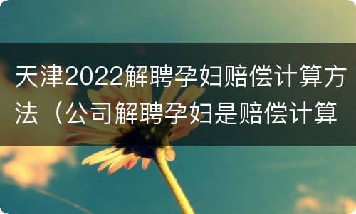 天津2022解聘孕妇赔偿计算方法（公司解聘孕妇是赔偿计算公式）
