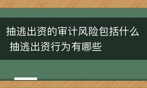 抽逃出资的审计风险包括什么 抽逃出资行为有哪些