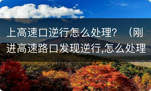 上高速口逆行怎么处理？（刚进高速路口发现逆行,怎么处理的）