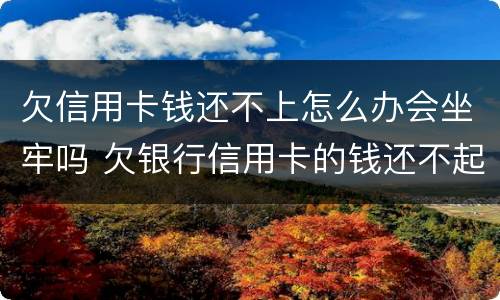 欠信用卡钱还不上怎么办会坐牢吗 欠银行信用卡的钱还不起怎么办会坐牢吗