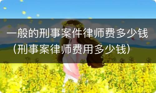 一般的刑事案件律师费多少钱（刑事案律师费用多少钱）