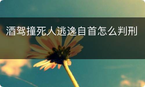 酒驾撞死人逃逸自首怎么判刑
