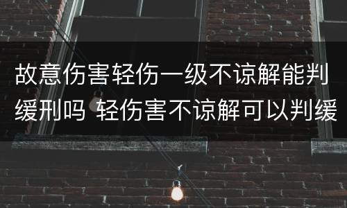 故意伤害轻伤一级不谅解能判缓刑吗 轻伤害不谅解可以判缓刑吗