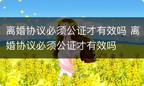 离婚协议必须公证才有效吗 离婚协议必须公证才有效吗