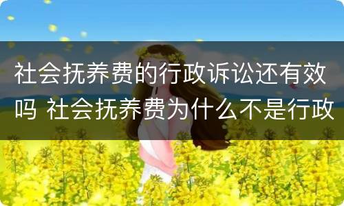 社会抚养费的行政诉讼还有效吗 社会抚养费为什么不是行政处罚