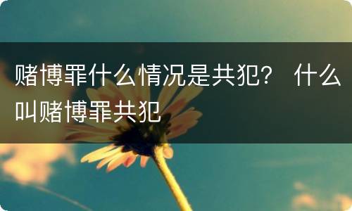 赌博罪什么情况是共犯？ 什么叫赌博罪共犯
