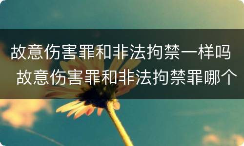故意伤害罪和非法拘禁一样吗 故意伤害罪和非法拘禁罪哪个量刑重