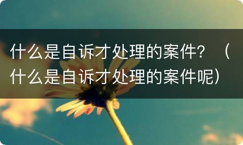 什么是自诉才处理的案件？（什么是自诉才处理的案件呢）