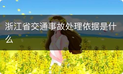 浙江省交通事故处理依据是什么