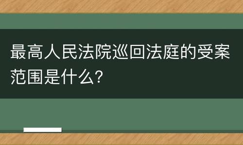 最高人民法院巡回法庭的受案范围是什么？