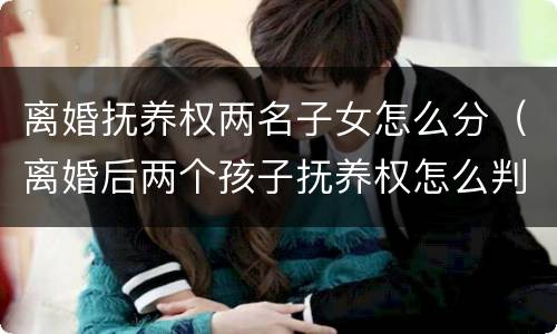 离婚抚养权两名子女怎么分（离婚后两个孩子抚养权怎么判）