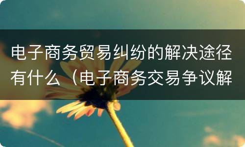 电子商务贸易纠纷的解决途径有什么（电子商务交易争议解决途径有哪些）