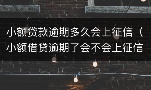 小额贷款逾期多久会上征信（小额借贷逾期了会不会上征信）