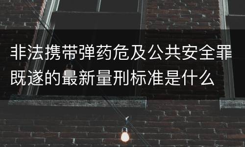 非法携带弹药危及公共安全罪既遂的最新量刑标准是什么