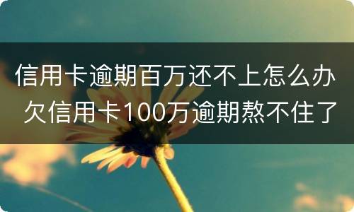 信用卡逾期百万还不上怎么办 欠信用卡100万逾期熬不住了