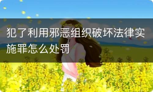 犯了利用邪恶组织破坏法律实施罪怎么处罚
