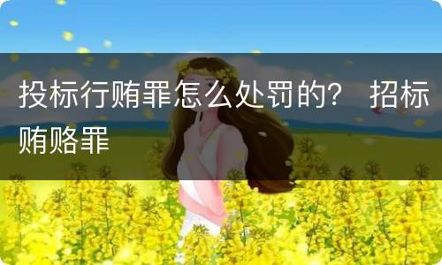 投标行贿罪怎么处罚的？ 招标贿赂罪