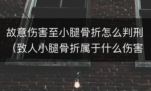 故意伤害至小腿骨折怎么判刑（致人小腿骨折属于什么伤害）