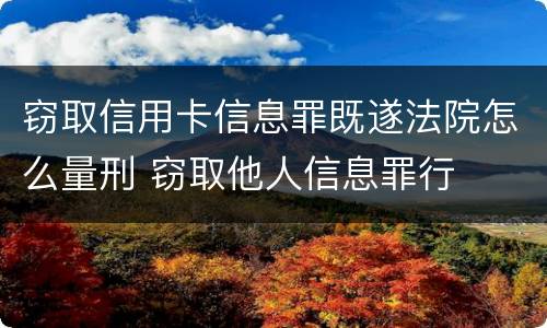 窃取信用卡信息罪既遂法院怎么量刑 窃取他人信息罪行