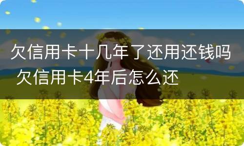 欠信用卡十几年了还用还钱吗 欠信用卡4年后怎么还