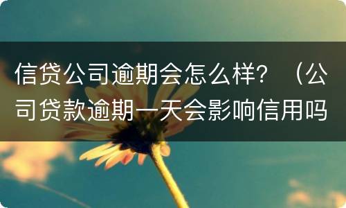 信贷公司逾期会怎么样？（公司贷款逾期一天会影响信用吗）