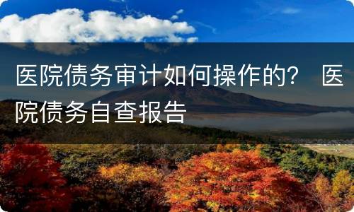 医院债务审计如何操作的？ 医院债务自查报告