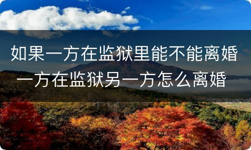 如果一方在监狱里能不能离婚 一方在监狱另一方怎么离婚