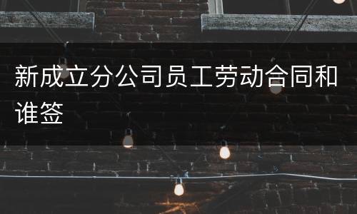新成立分公司员工劳动合同和谁签
