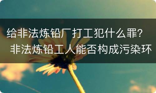 给非法炼铅厂打工犯什么罪？ 非法炼铅工人能否构成污染环境罪