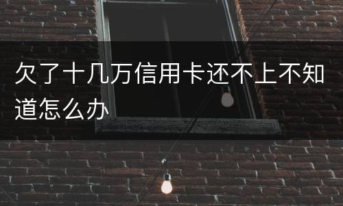 欠了十几万信用卡还不上不知道怎么办
