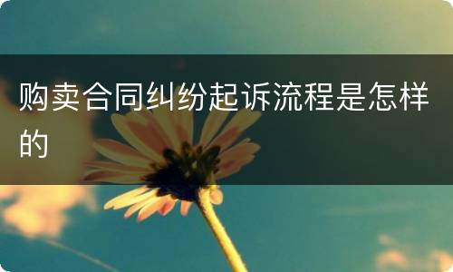 购卖合同纠纷起诉流程是怎样的