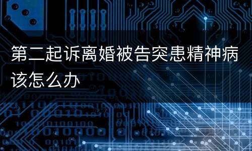 第二起诉离婚被告突患精神病该怎么办