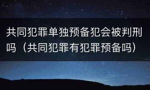 共同犯罪单独预备犯会被判刑吗（共同犯罪有犯罪预备吗）