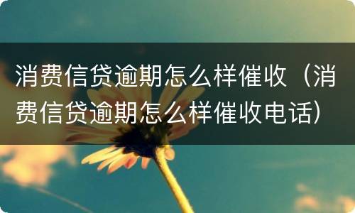 消费信贷逾期怎么样催收（消费信贷逾期怎么样催收电话）